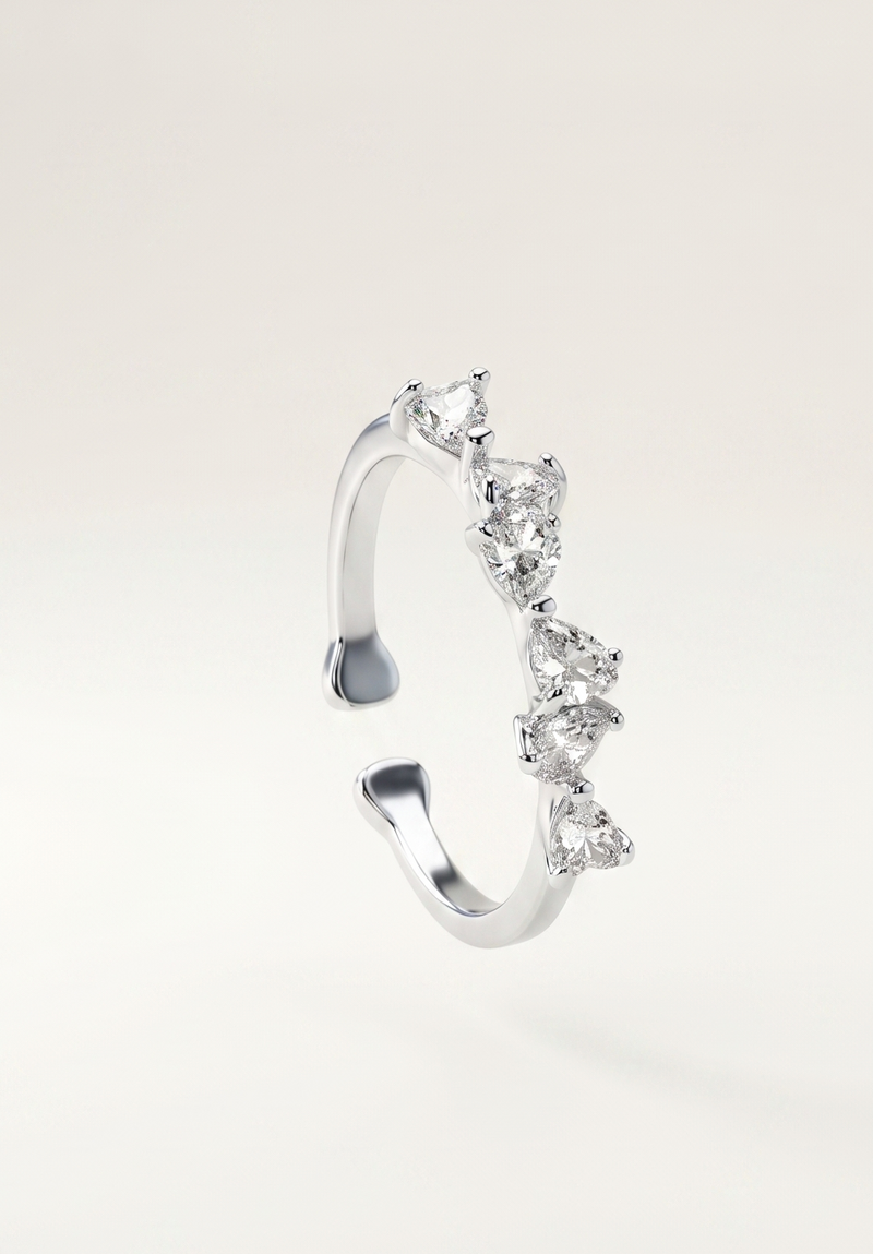 The Aria Heart Band